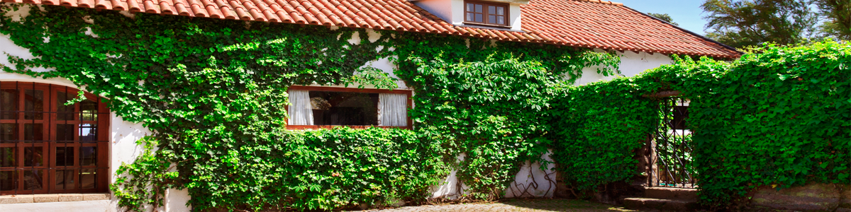 Gestión de alquiler profesional de su inmueble . GESTION TUCAN en Talavera De La Reina Gestión de alquiler profesional de su inmueble . GESTION TUCAN en Talavera De La Reina